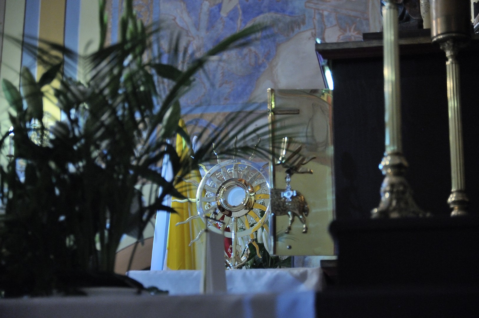 1637855398-352f2dc6971b3abe987a992dd6348de5